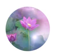 picto fleur violette