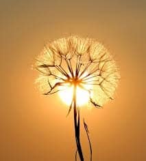 images (9)